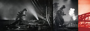GODZILLA History of Formative Arts 1954-2016