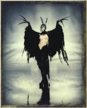Hiroshi Nonami "Aphrodisiac" Signed