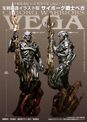 Cyborg Warriors Vega Limited Edition of 200 Painted