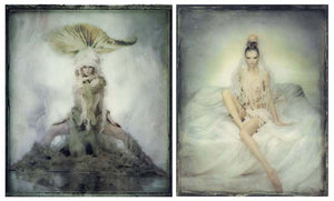 Hiroshi Nonami "DIPTYCH" (limited edition of Aphrodisiac & Euphoric)
