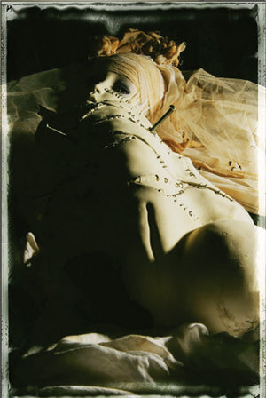 Etsuko Miura "The Doll Bride of Frankenstein" Aluminum-like hairline paper cover SIGNED