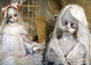 Nagare Tanaka Photo Book "Dolls 2" SIGNED
