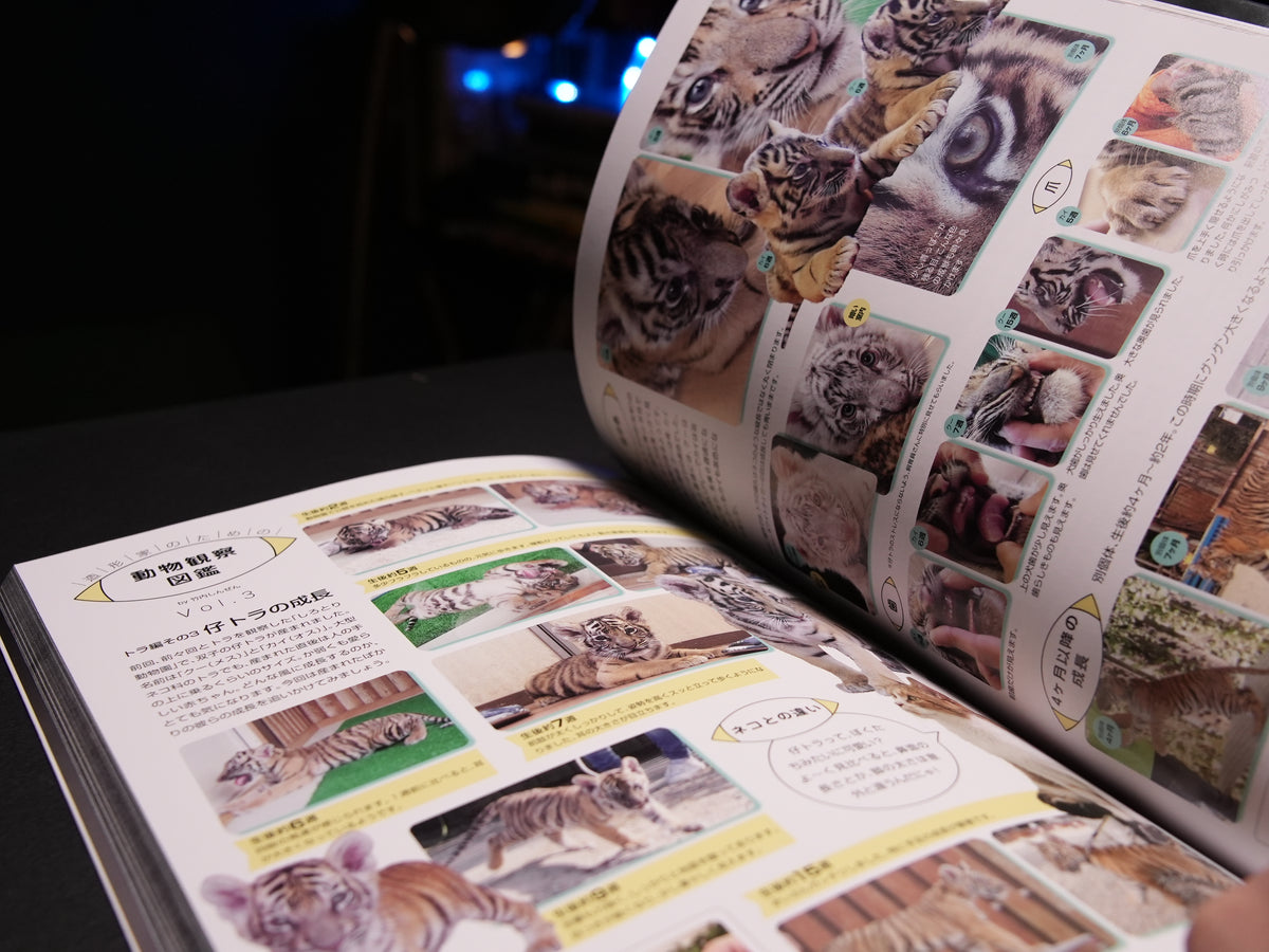 SCULPTORS 03 2020 WINTER