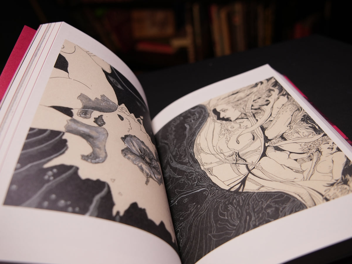 KINBAKU THE GOLDEN AGE OF JAPANESE RESTRAINED & TORTURED ARTWORKS Expanded Edition