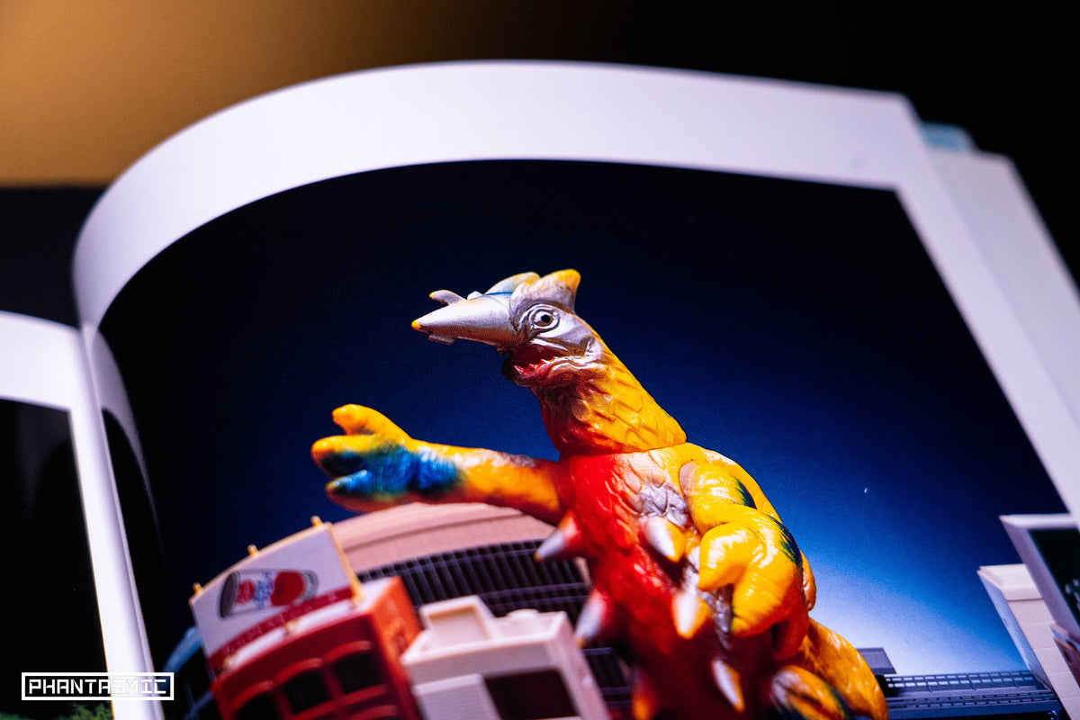 Eiji Kaminaga Photograph Collection "Ultra P" SIGNED