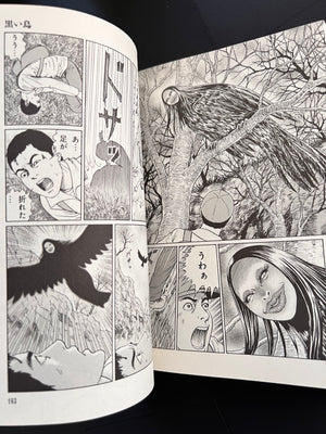 Junji Ito "Fragment of horror" Japanese edition SIGNED