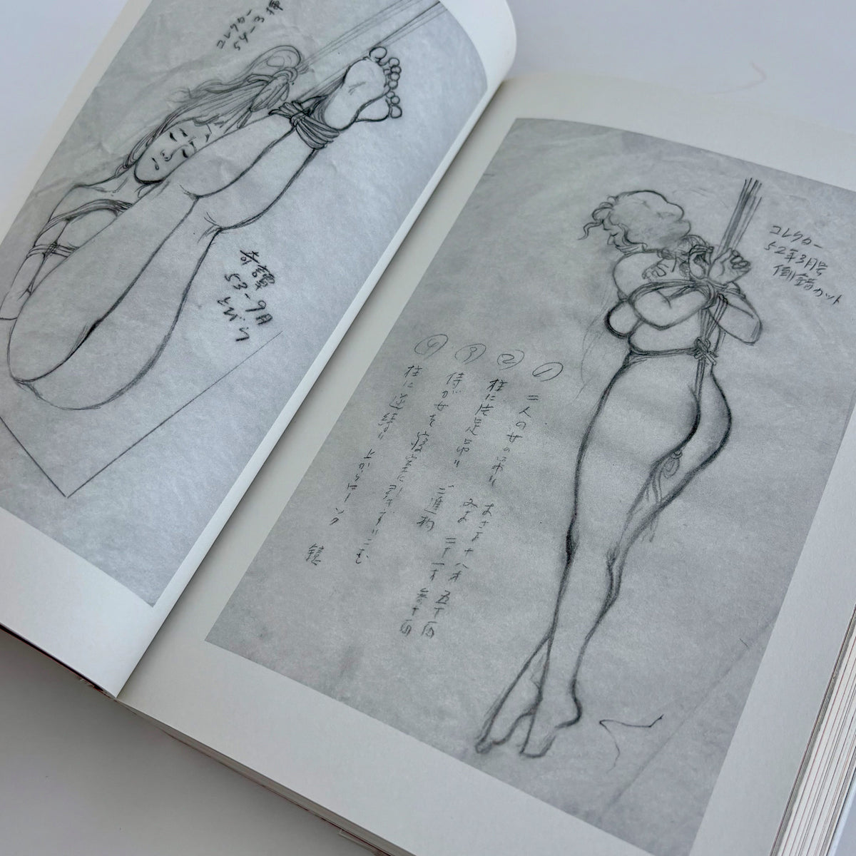 KINBAKU THE GOLDEN AGE OF JAPANESE RESTRAINED & TORTURED ARTWORKS Expanded Edition