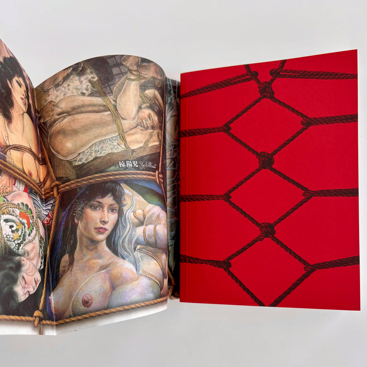 KINBAKU THE GOLDEN AGE OF JAPANESE RESTRAINED & TORTURED ARTWORKS Expanded Edition
