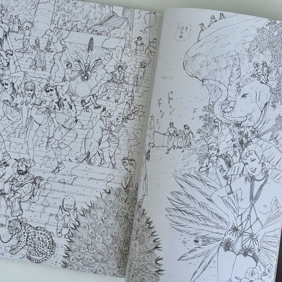 Suehiro Maruo RANPO PANORAMA*