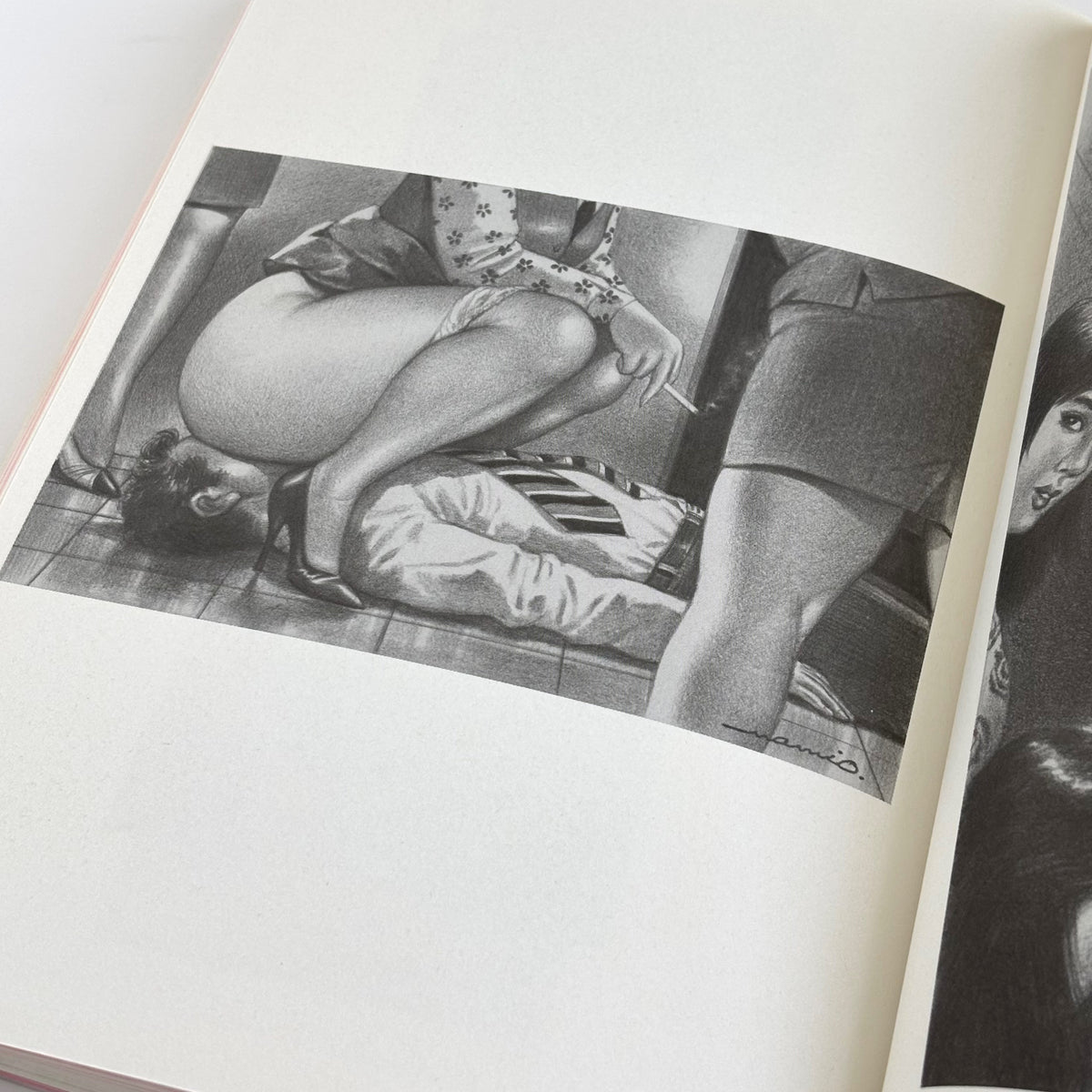 Namio Harukawa "The Incredible Femdom Art of Namio Harukawa  MEMORIAL EXPANDED EDITION"*