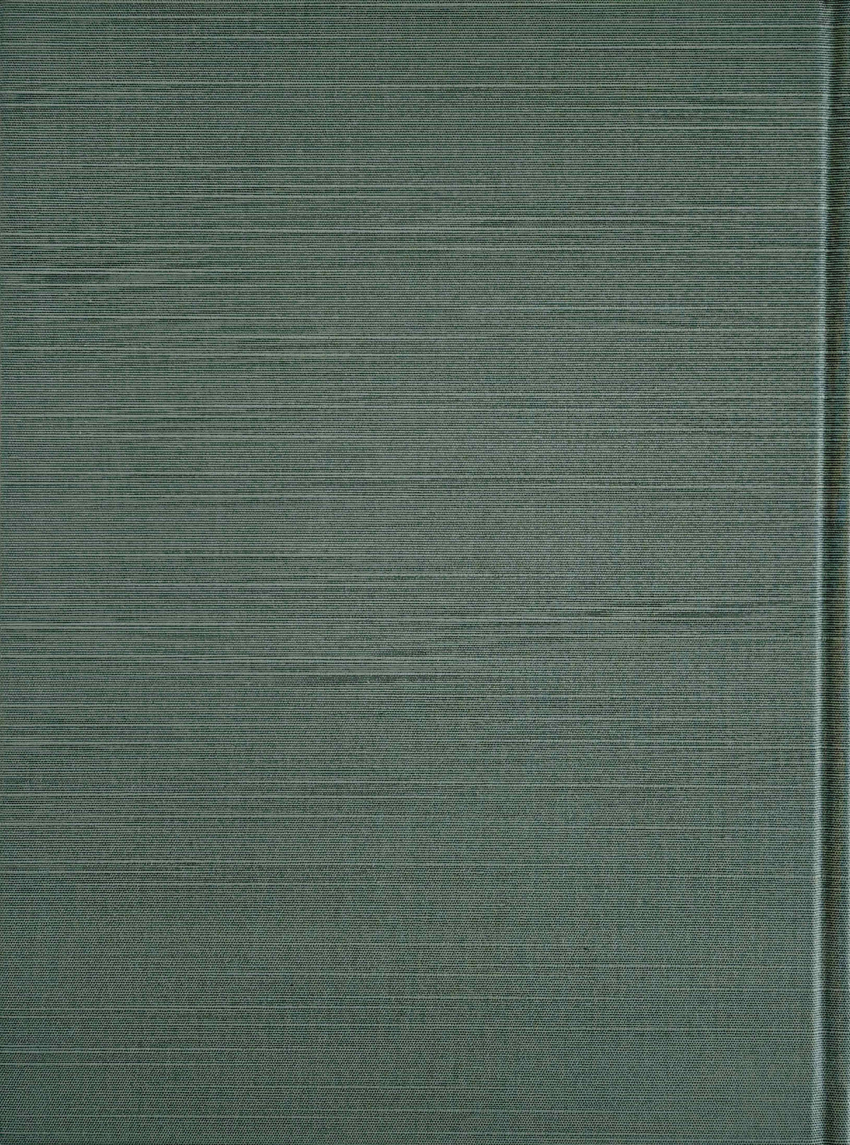 Takato Yamamoto "Altar of Narcissus" Expanded Edition Black SIGNED (2023)*