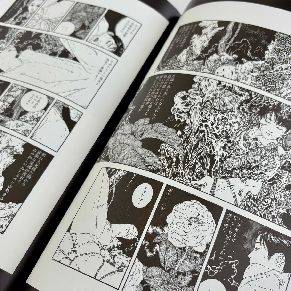 Takato Yamamoto "Nosferatu" SIGNED*