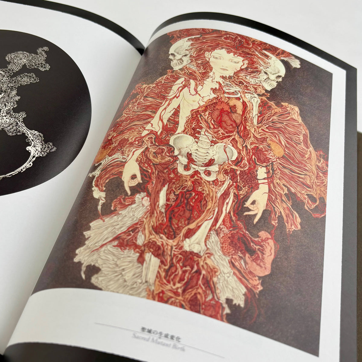 Takato Yamamoto “Rib of a Hermaphrodite” Black edition SIGNED (2023)*