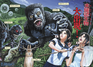 Koji Kitahara "Japanese Horror Collection/Reiwa Strange Pictorial IV: UMA" SIGNED