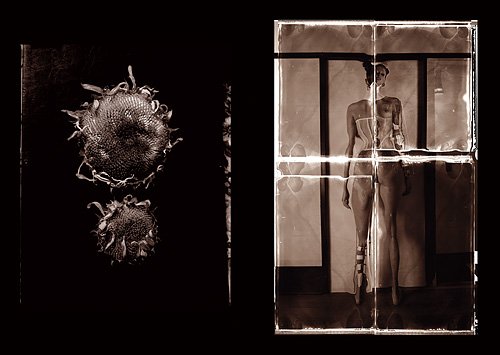 Atsushi Tani "AMBIVALENCE" SIGNED