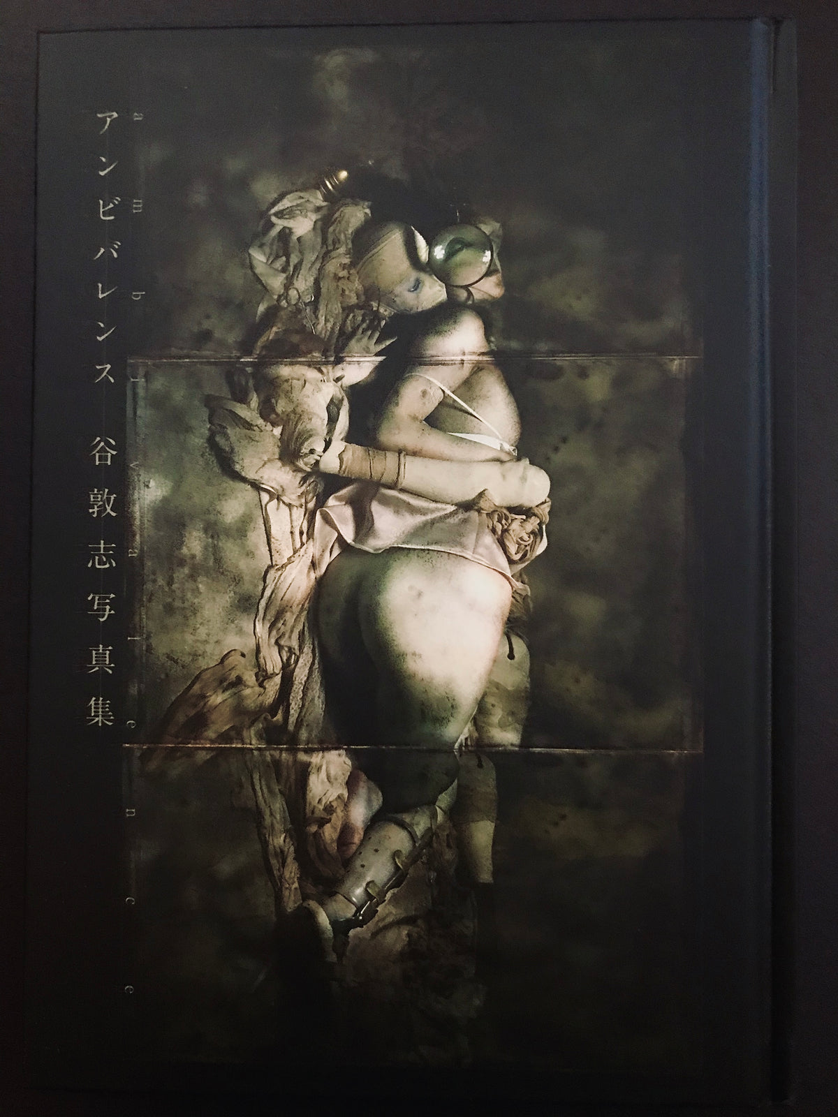 Atsushi Tani "AMBIVALENCE" SIGNED