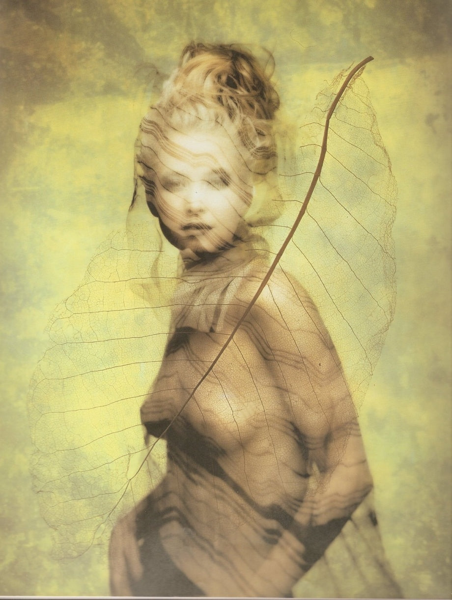 Hiroshi Nonami “Abyss” SIGNED