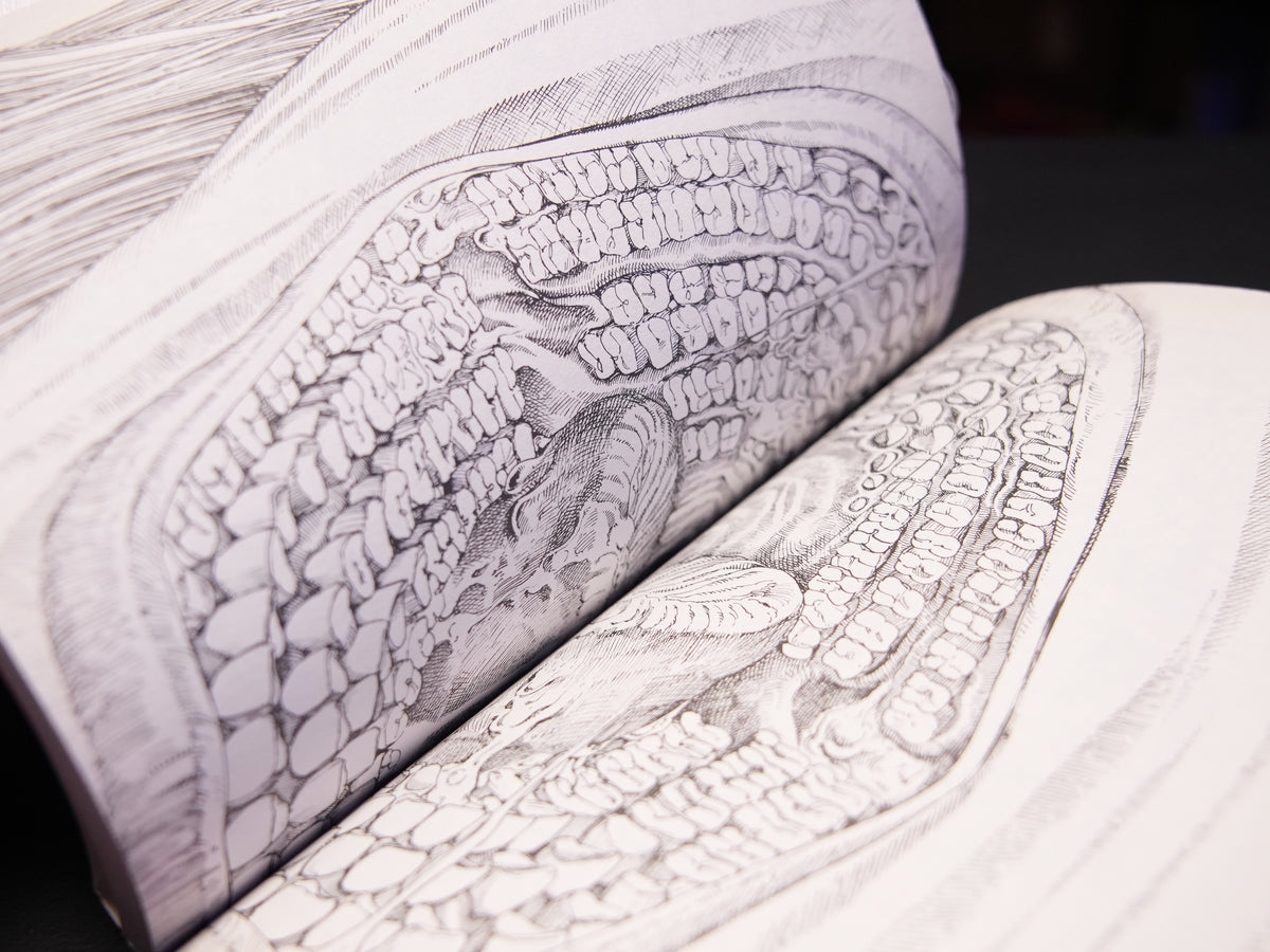 Shintaro Kago "Ibutsu Konnyu" (Contaminated By Foreign Object) SIGNED