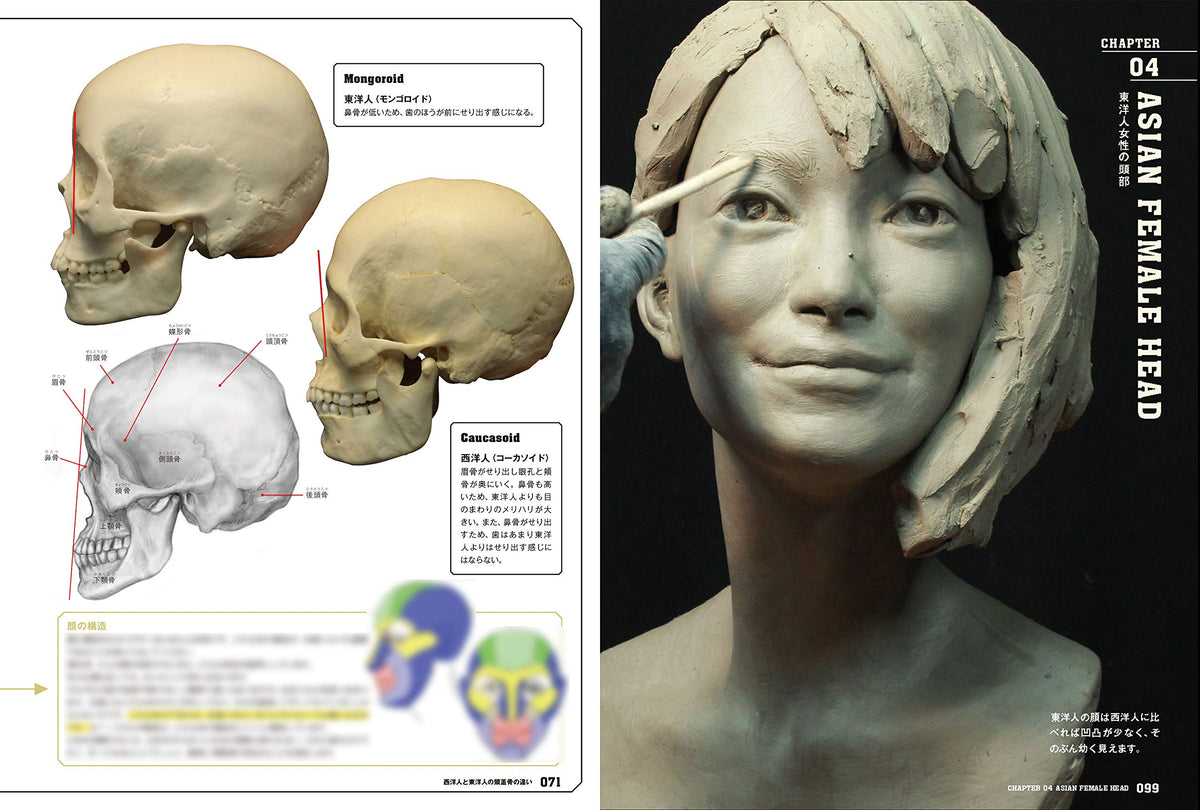 Hiroshi Katagiri "ANATOMY SCULPTING COMPLETE EDITION"