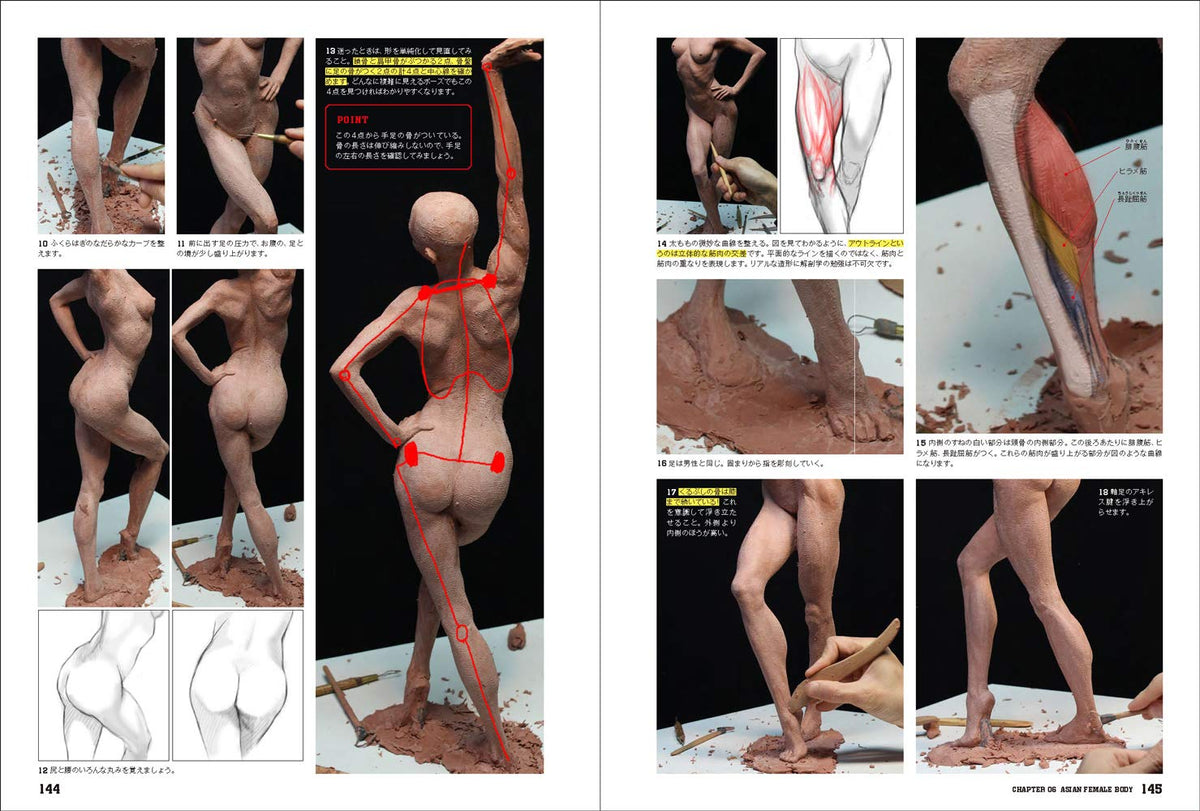 Hiroshi Katagiri "ANATOMY SCULPTING COMPLETE EDITION"