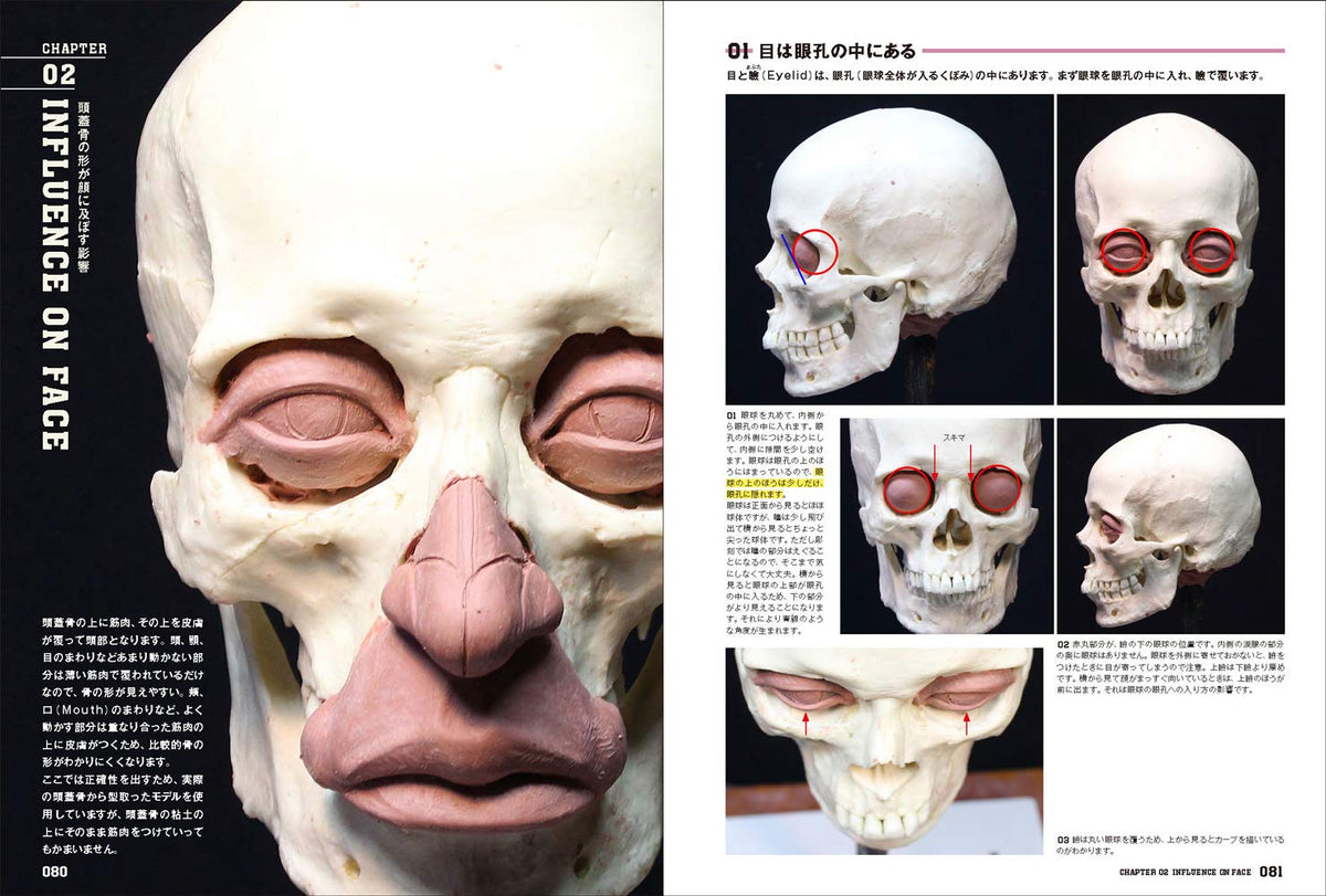 Hiroshi Katagiri "ANATOMY SCULPTING COMPLETE EDITION"