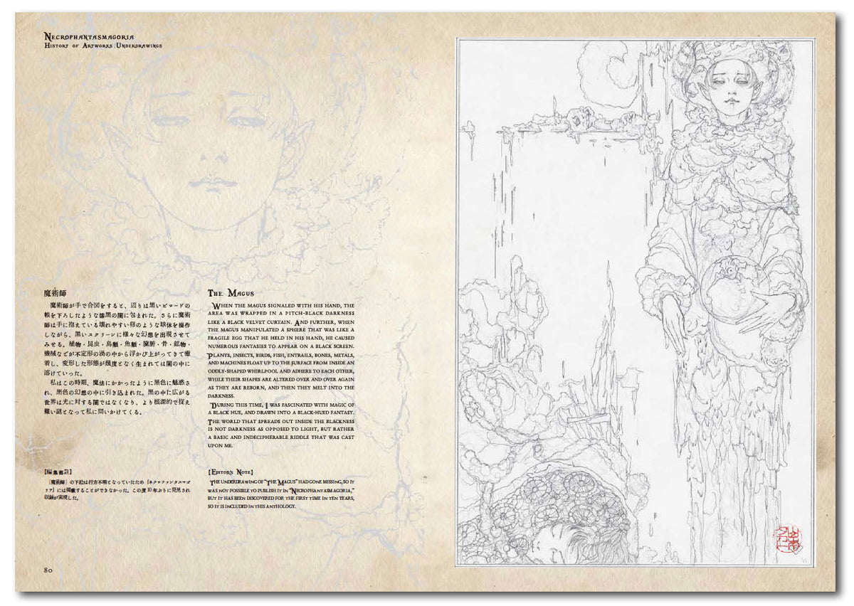 Takato Yamamoto "Necrophantasmagoria Vanitas" revised edition SIGNED