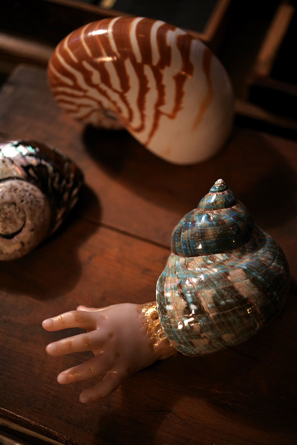 Midori Hayashi "Night Comers"