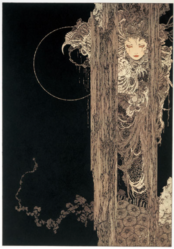 Takato Yamamoto “Rib of a Hermaphrodite” Revised edition SIGNED (2021)