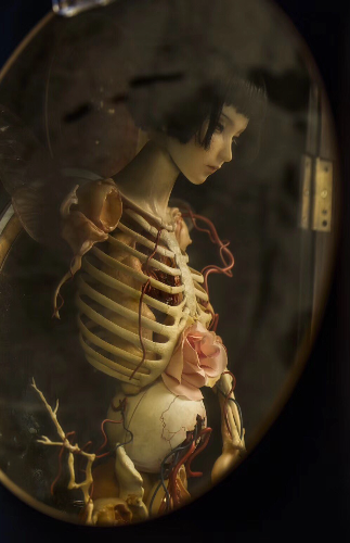 Takato Yamamoto “Rib of a Hermaphrodite” Revised edition SIGNED (2021)