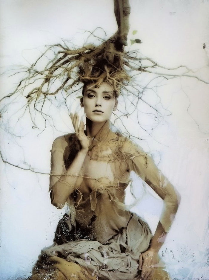 Hiroshi Nonami “Abyss” SIGNED