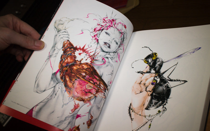 Nekoshowgun, Illustration Making and Visual Book