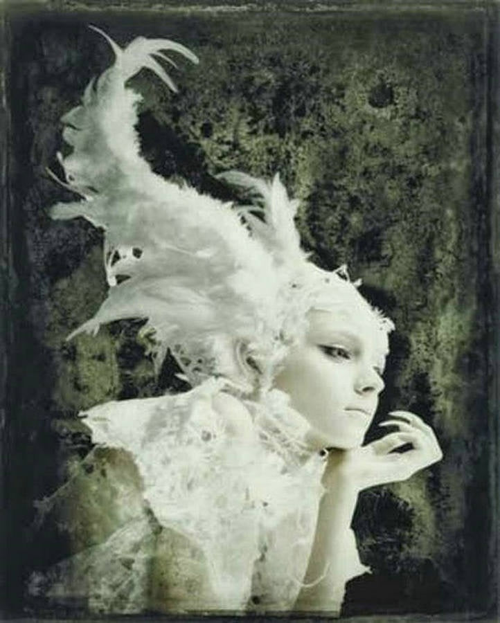 Hiroshi Nonami "PORTFOLIO 1989-2007"